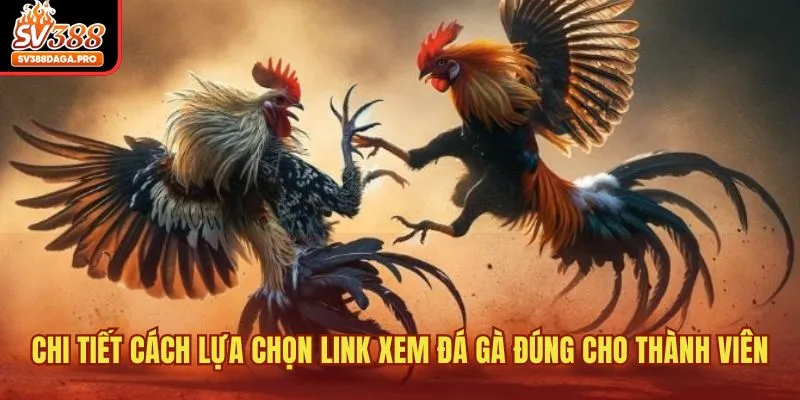 Chi tiết về chủ đề lựa chọn link xem đá gà đúng SV388