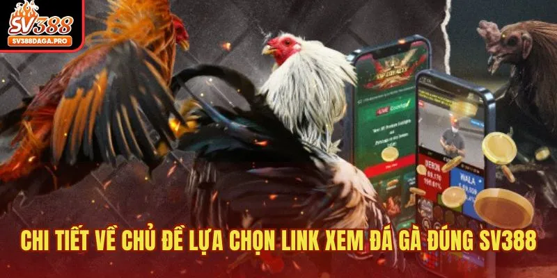 Chi tiết cách lựa chọn link xem đá gà đúng cho thành viên