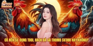 Có nên sử dụng tool hack đá gà Thomo SV388 hay không?