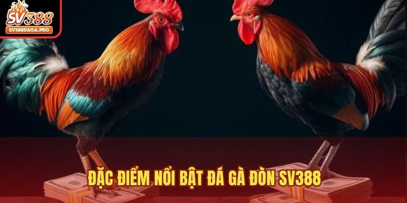 Đặc điểm nổi bật đá gà đòn SV388
