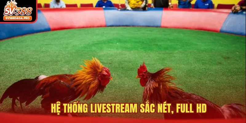 Hệ thống livestream sắc nét, full HD