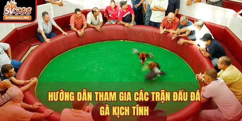 Hướng dẫn tham gia các trận đấu đá gà kịch tính