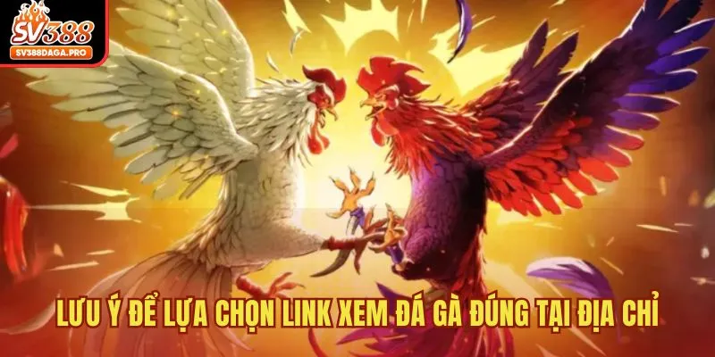 Lưu ý để lựa chọn link xem đá gà đúng tại địa chỉ
