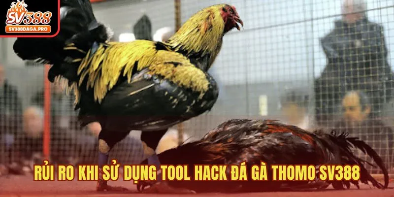 Rủi ro khi sử dụng tool hack đá gà Thomo SV388