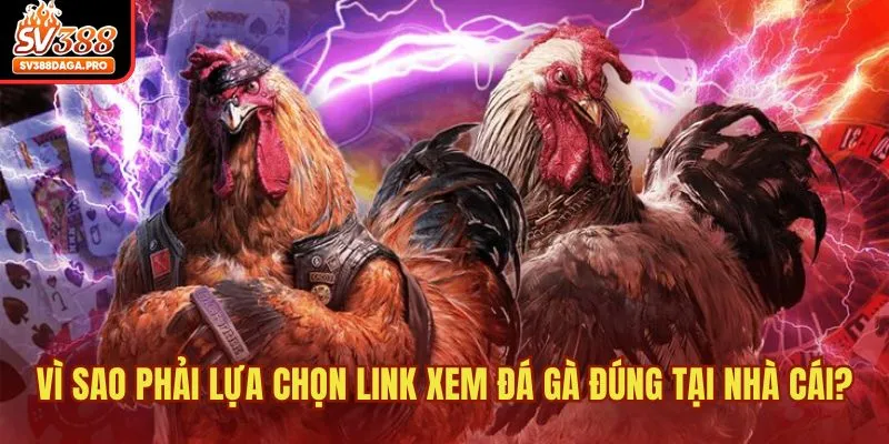 Vì sao phải lựa chọn link xem đá gà đúng tại nhà cái?